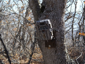 browning-recon-force-trail-camera-l