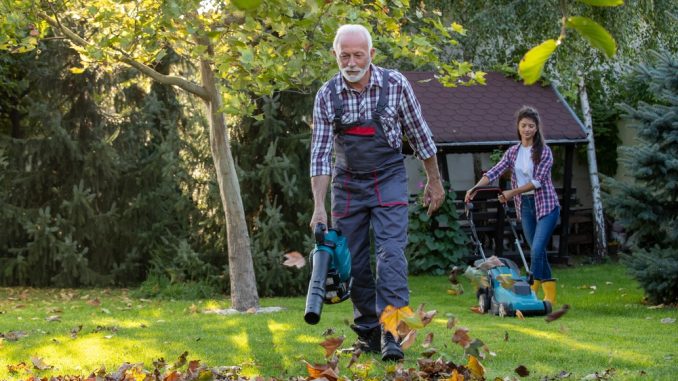 Senior,Man,In,Overall,Working,In,Garden,With,Leaf,Blower
